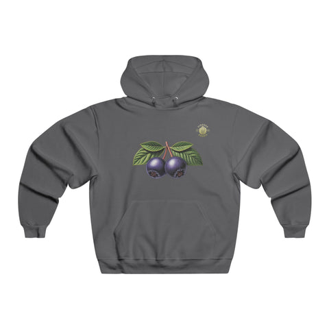 Hoodie — "Straight From The Source" Aronia Berry Graphic