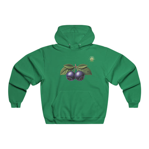 Hoodie — "Straight From The Source" Aronia Berry Graphic