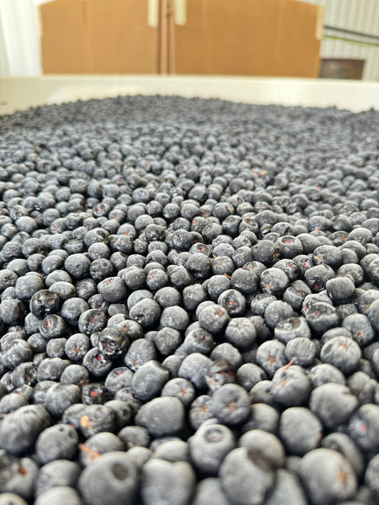 Pressed Aronia Berries, partially dehydrated, 1 lbs.