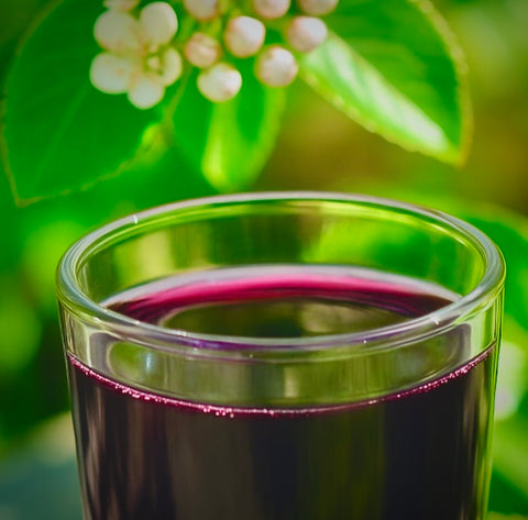Aronia Berry Juice, Full Strength - Naturally sweet- grown & cold pressed in USA | 16oz glass bottle   FREE SHIPPING