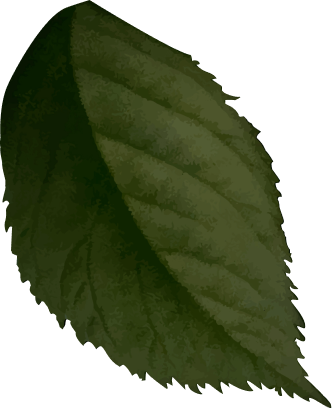 Leaf Overlay